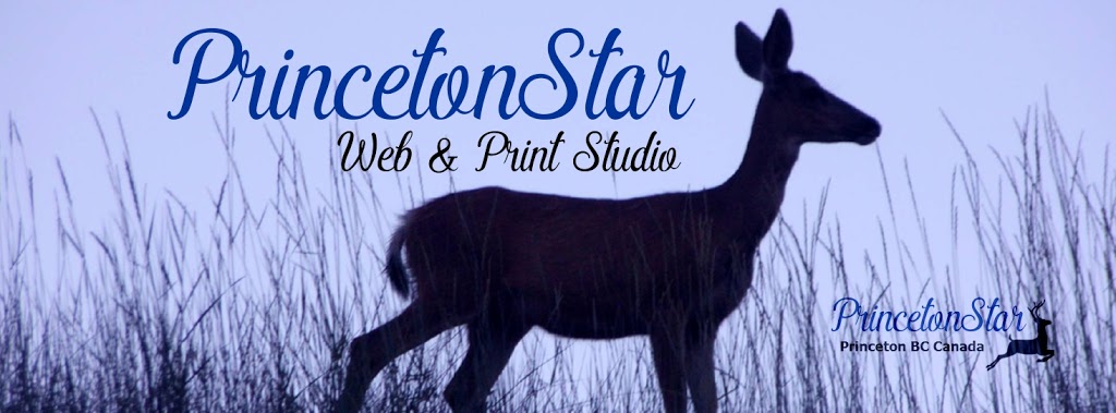 PrincetonStar | Kenley Ave, Princeton, BC V0X 1W0, Canada | Phone: (250) 273-1483
