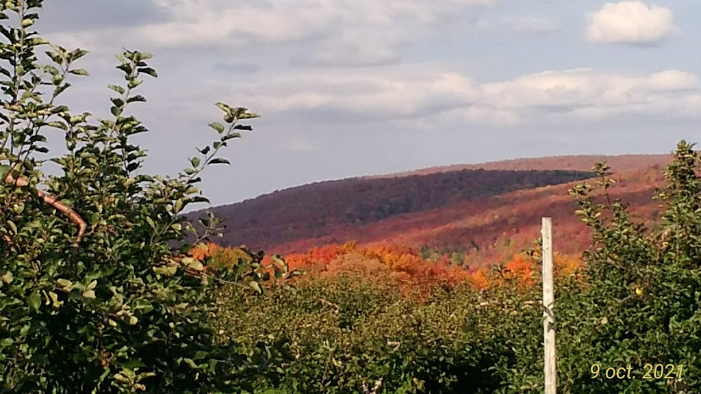 Domaine Custeau | 1041 3e Rang, Kinnears Mills, QC G0N 1K0, Canada | Phone: (418) 424-0136