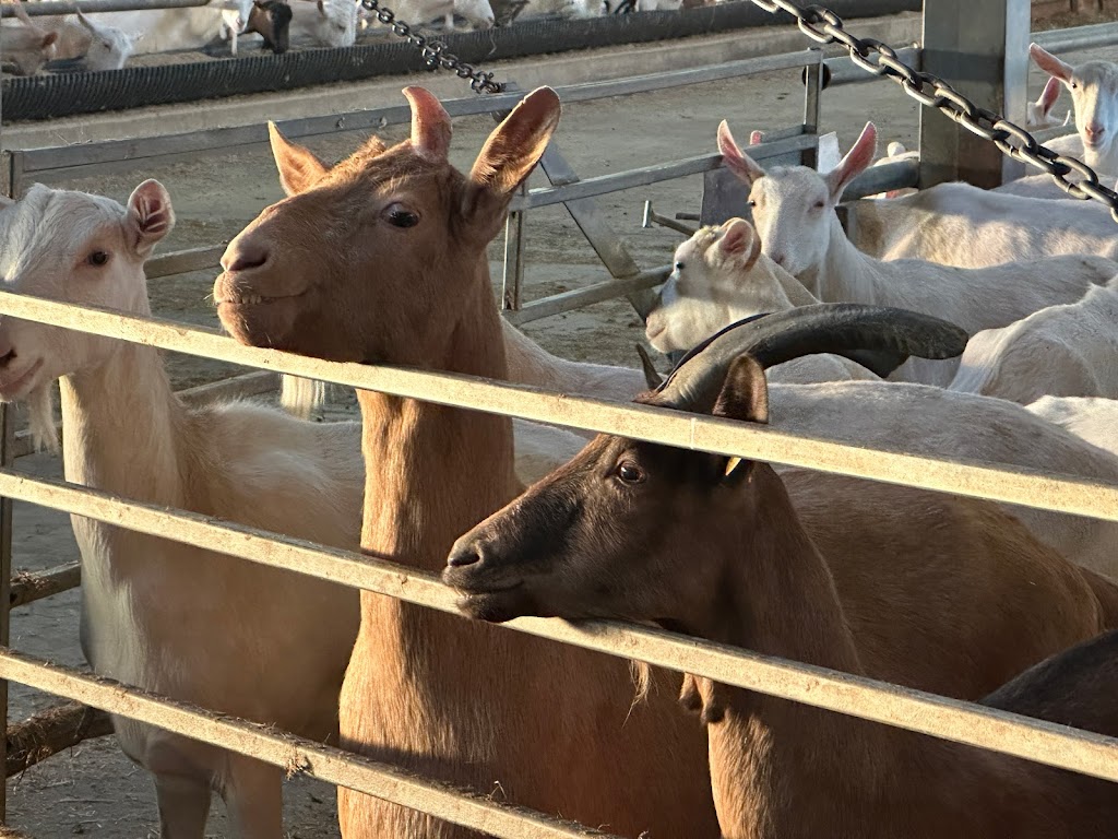 Donkers Family Farm | 9340 Mill Rd, Shedden, ON N0L 2E0, Canada | Phone: (519) 280-3276
