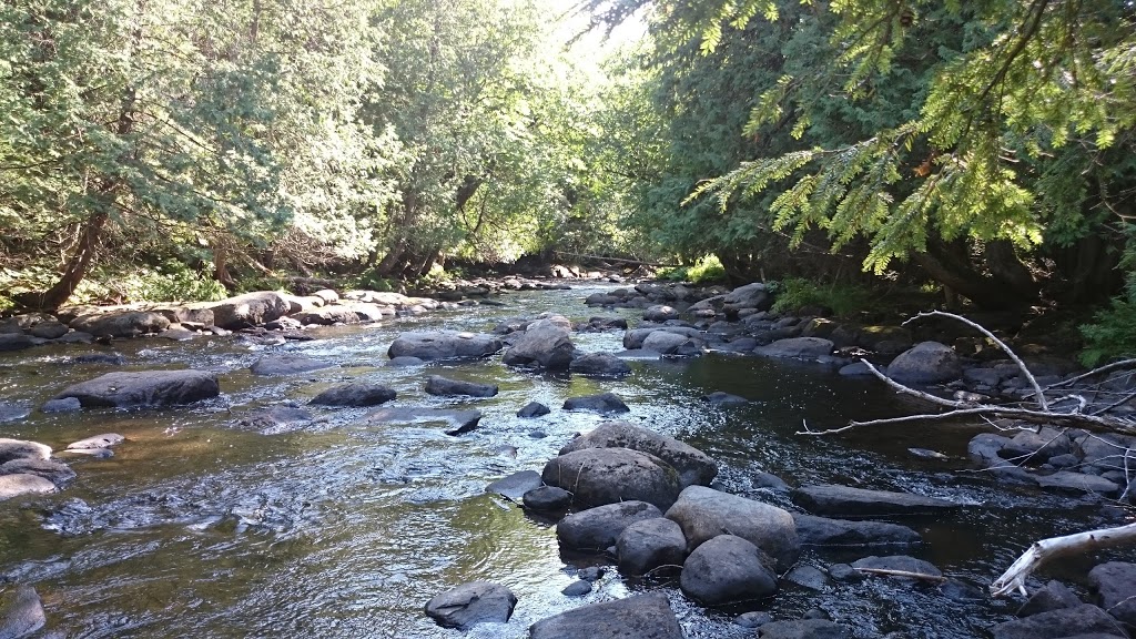 Ritchie Falls | Ritchie Falls Rd, Minden Hills, ON K0M 2K0, Canada | Phone: (800) 461-7677