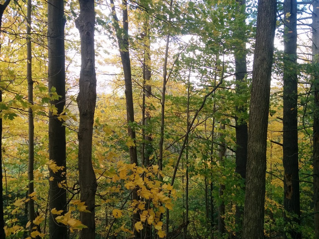 Hearthstone Valley Greenbelt a, 21 Hearthstone Crescent, North York