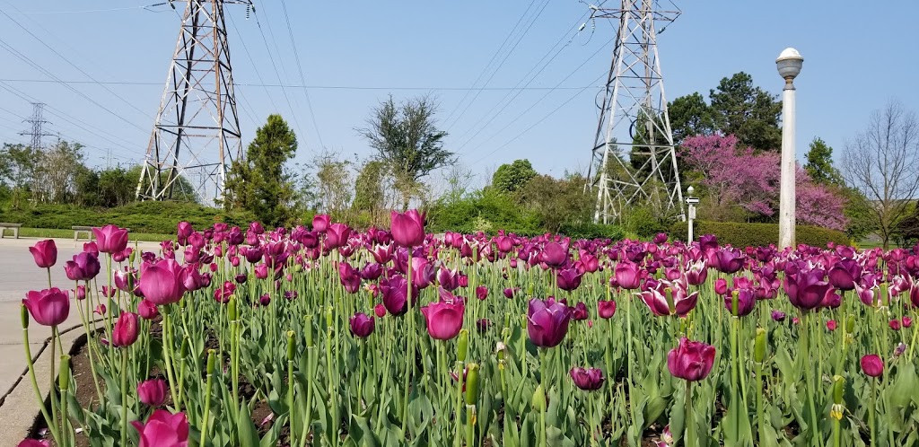 Centennial Lilac Garden | 14004 Niagara Pkwy, Niagara Falls, ON L2E, Canada