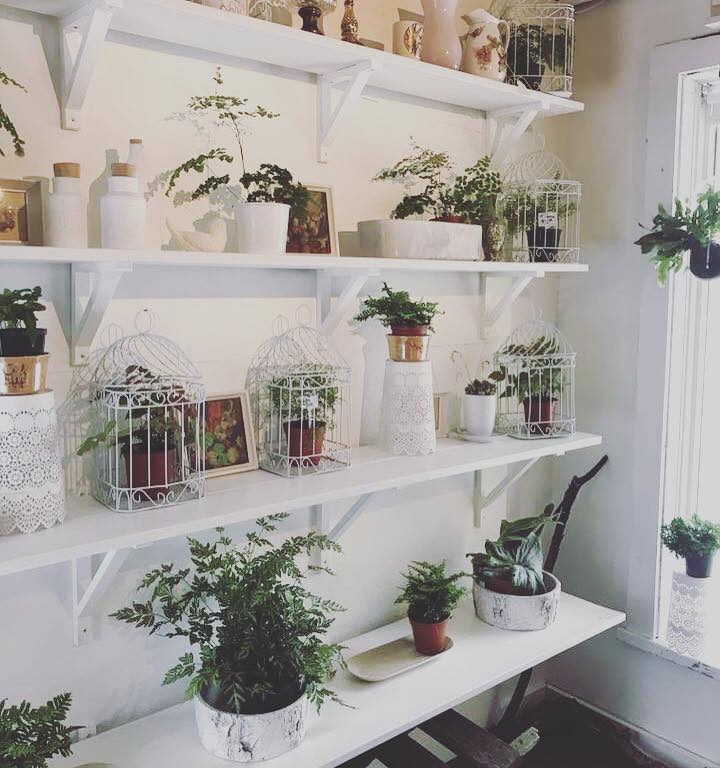 Deuce Boutique & Botanicals | 221 Hastings St N, Bancroft, ON K0L, Canada, Canada | Phone: (613) 332-3333