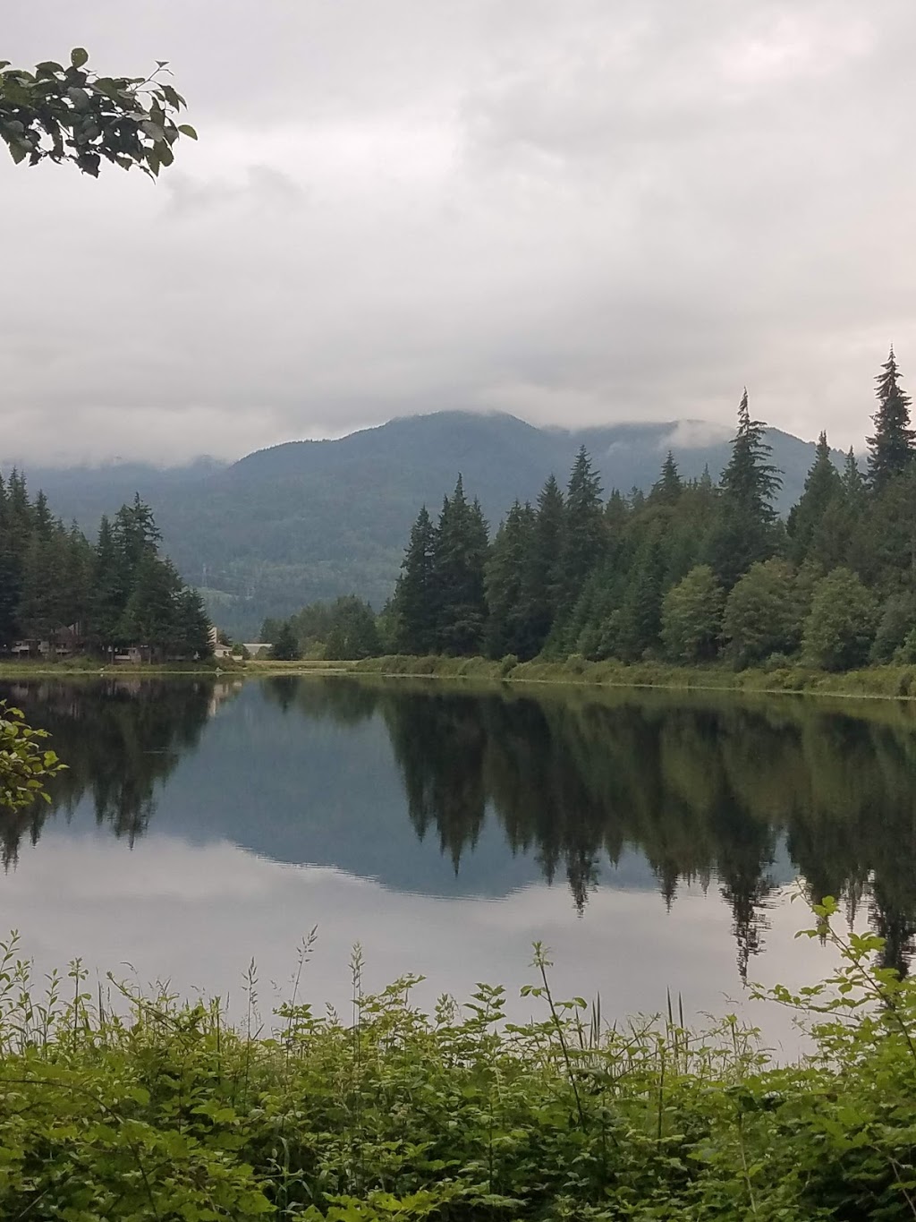 Lake Louise Bird Sanctuary | 9 Lake Louise Cir E, Bellingham, WA 98229, USA