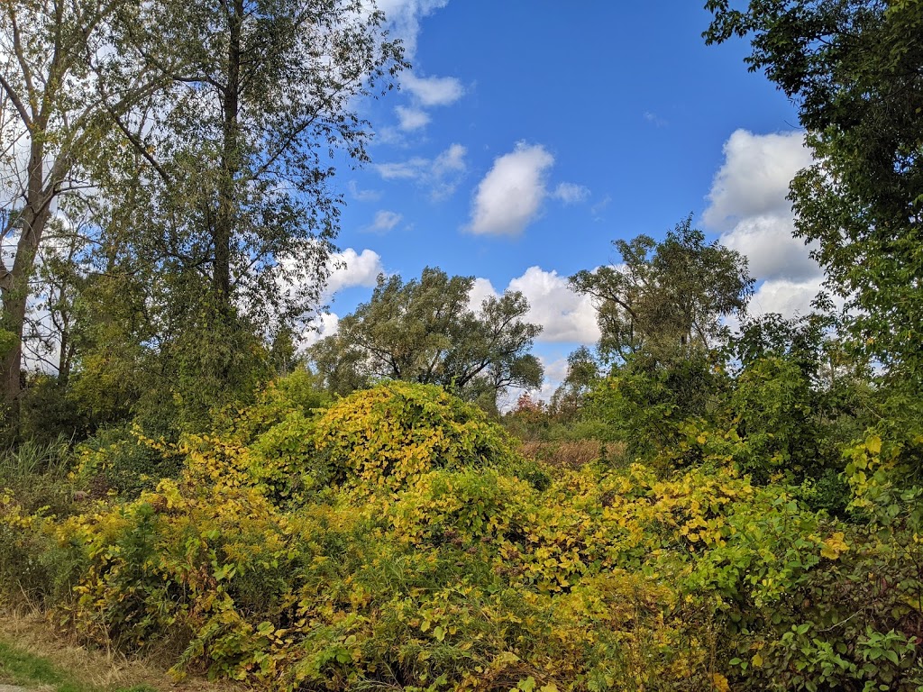 Westmeadow Park | 201 Westmeadow Dr, Kitchener, ON N2N 3P9, Canada | Phone: (519) 741-2345