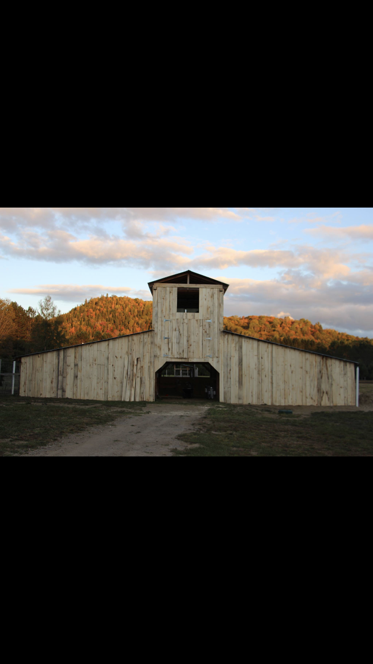 Ferme Vallée des Alpagas | 93 Chemin des Épinettes, Huberdeau, QC J0T 1G0, Canada | Phone: (819) 341-4886