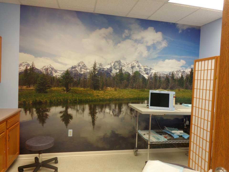 Dr. David A. Bailey, DO | 4154 S, River Rd, East China, MI 48054, USA | Phone: (810) 329-3333