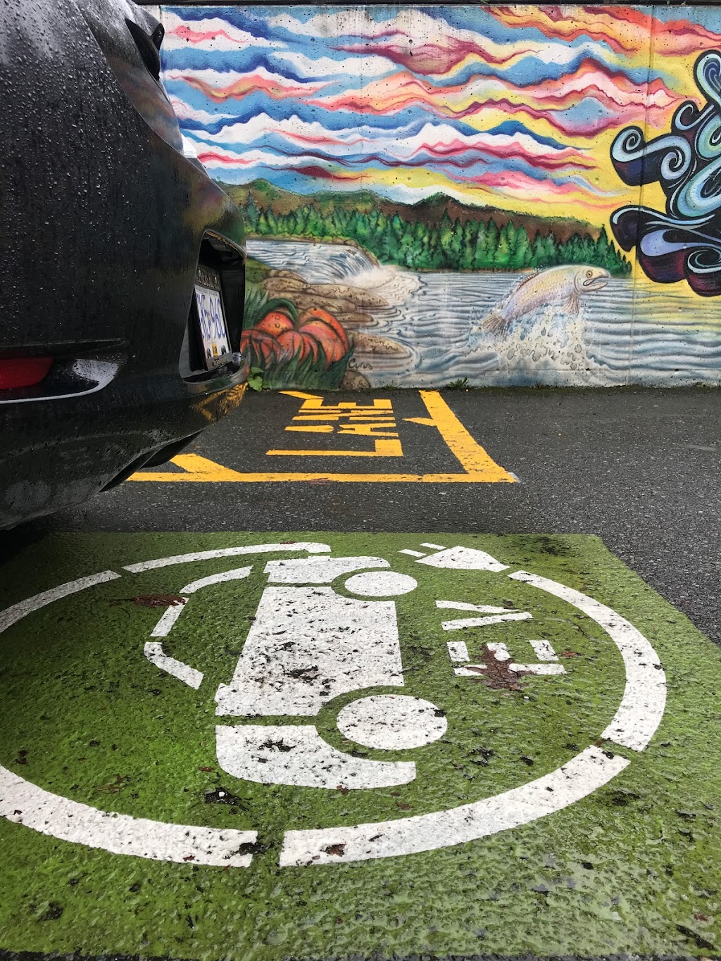 ChargePoint Charging Station | point of interest | 330 Duncan St, Duncan, BC V9L 3W4, Canada | 8887584389 OR +1 888-758-4389