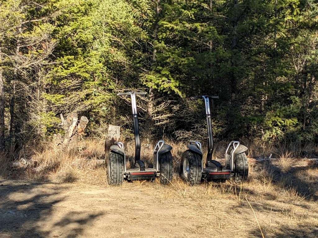 Scootin Kootenay Tours | Box 249 7058, BC-95, Radium Hot Springs, BC V0A 1M0, Canada | Phone: (250) 341-8588