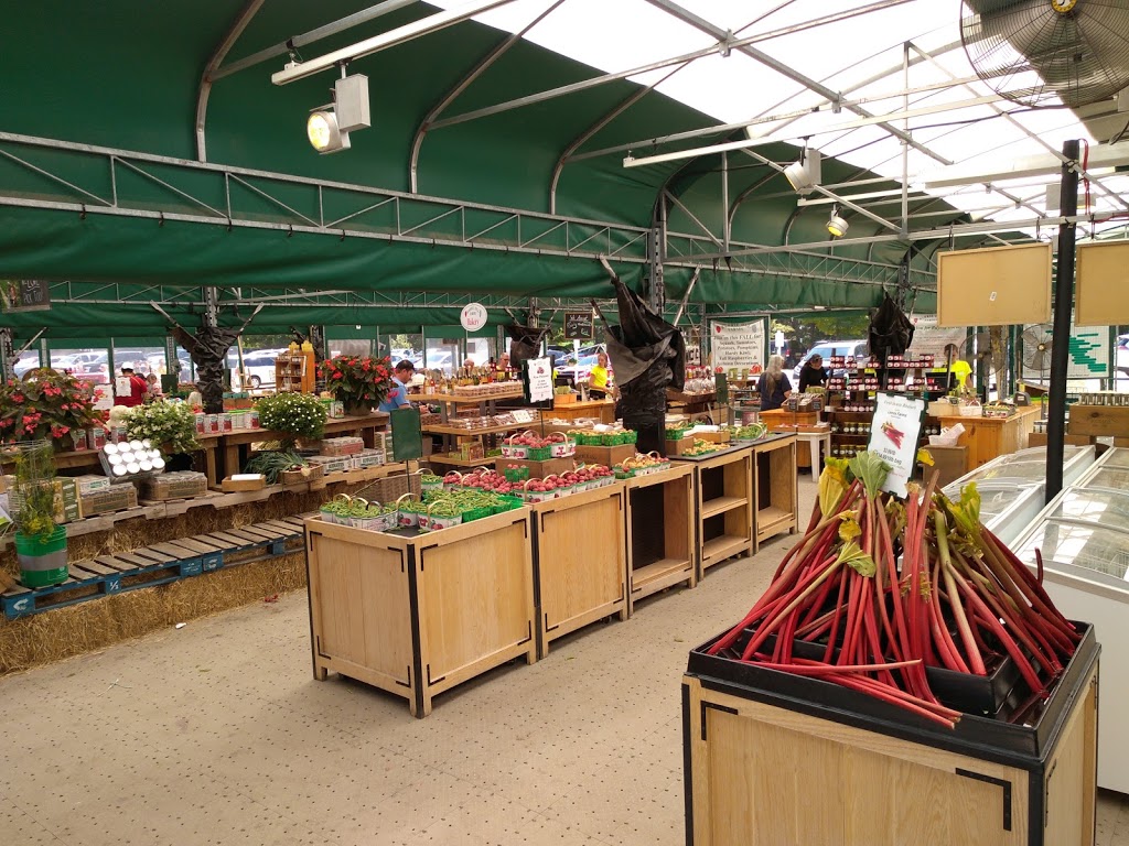 Barrie Hill Farms | 2935 Barrie Hill Rd, Springwater, ON L9X 1S8, Canada | Phone: (705) 728-0571