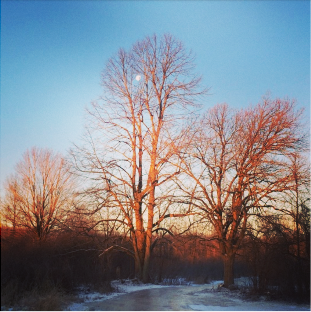 RiverOak Ice Skating Trail | 2900 Yorks Corners Rd, Metcalfe, ON K0A 2P0, Canada | Phone: (613) 212-0077