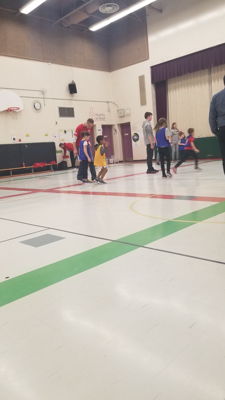 Plum Tree Park Public School | 6855 Tenth Line W, Mississauga, ON L5N 4Y6, Canada | Phone: (905) 824-0155