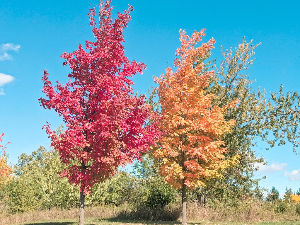 Manitou Park | Brampton, ON L6S 4B2, Canada