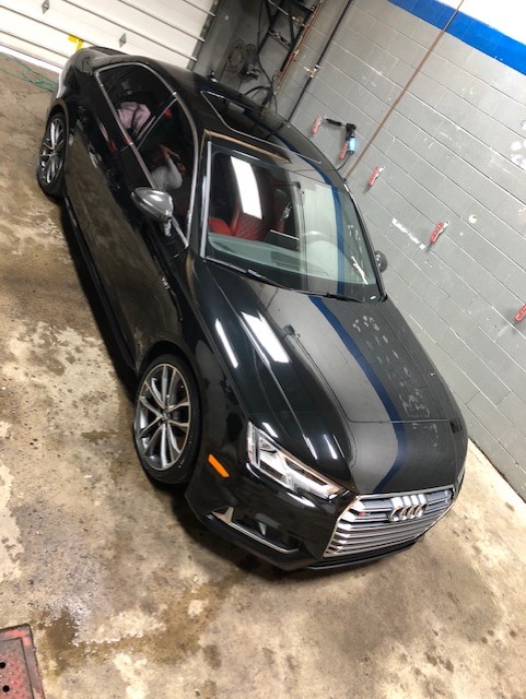Auto Kings Salon & Service | 6921 Steeles Ave W Unit 17, Etobicoke, ON M9W 6T5, Canada | Phone: (647) 519-1213