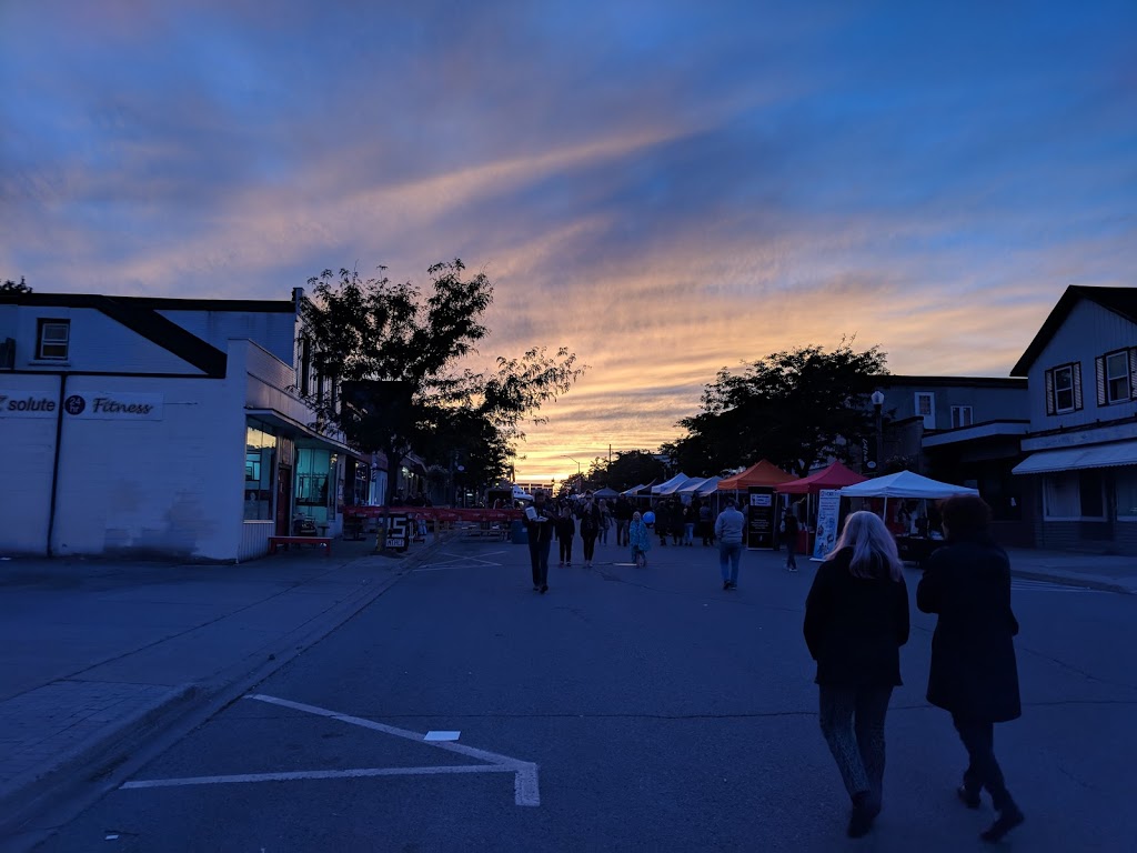 The French Fry Truck | 70 Jarvis St, Fort Erie, ON L2A 2S3, Canada