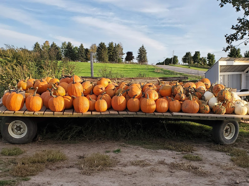 Tindall Farm & Market | 13669 Durham Regional Rd 1, Uxbridge, ON L9P 1R2, Canada | Phone: (416) 805-6760