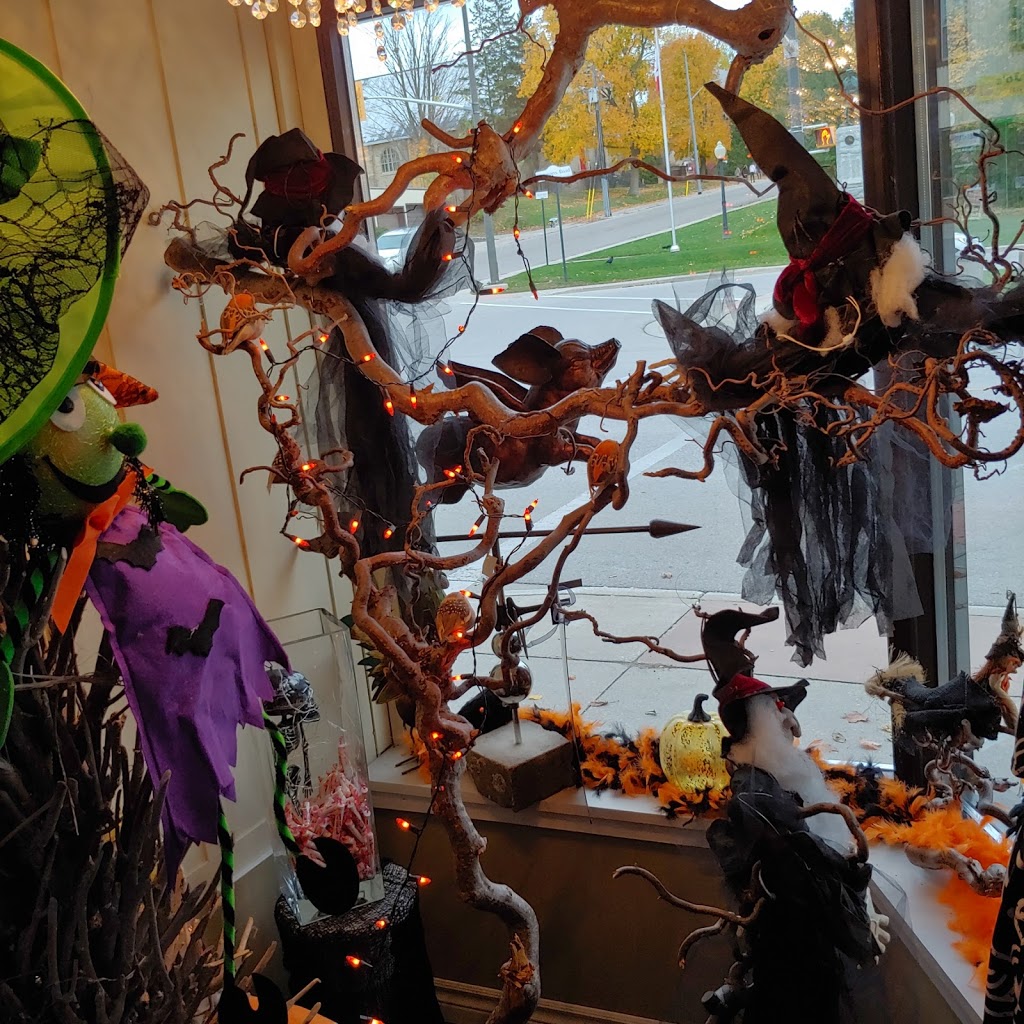Chameleons of Wingham | 224 Josephine St, Wingham, ON N0G 2W0, Canada | Phone: (226) 422-3023