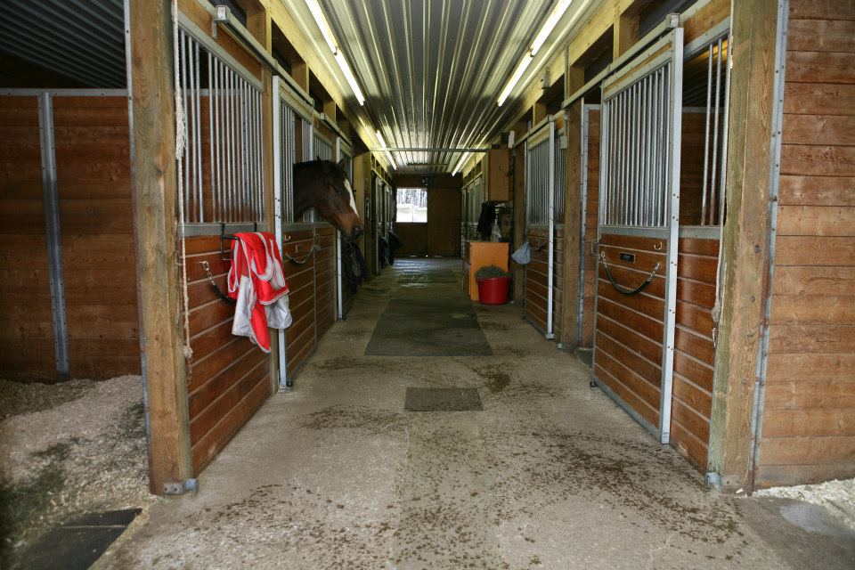 Cowgirls Dream Ranch | 18976 Kennedy Rd, Sharon, ON L0G 1V0, Canada | Phone: (416) 435-3555