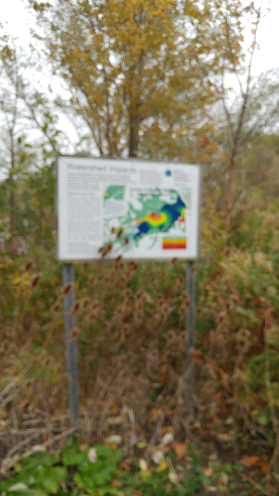 Princess Point Canoe Launch | Dundurn B, Hamilton, ON L8S 3W9, Canada | Phone: (905) 527-1158