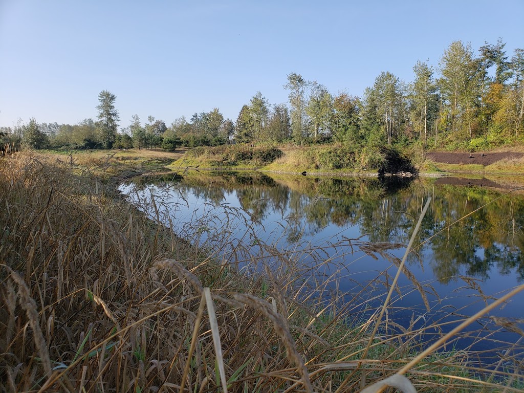 Jackman Wetlands, Aldergrove, BC | Langley Twp, BC V4W, Canada