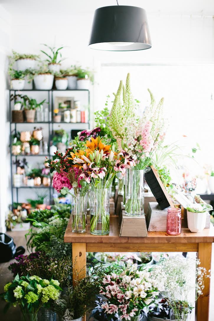 OAK & LILY Inc | 1724 Corydon Ave, Winnipeg, MB R3N 0K2, Canada | Phone: (204) 421-6251