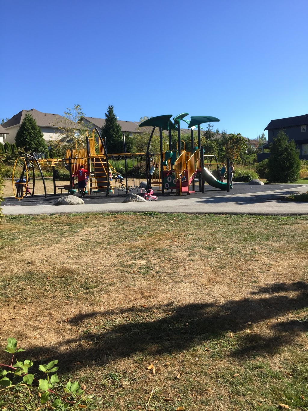 Routley Park | Champaigne Greenway, Langley City, BC V2Y 3H8, Canada