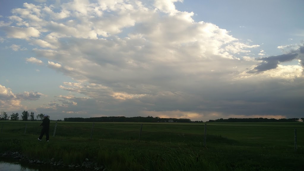 Crossfield Fish Pond | Fish Pond, Crossfield, AB T0M 0S0, Canada | Phone: (403) 555-1234