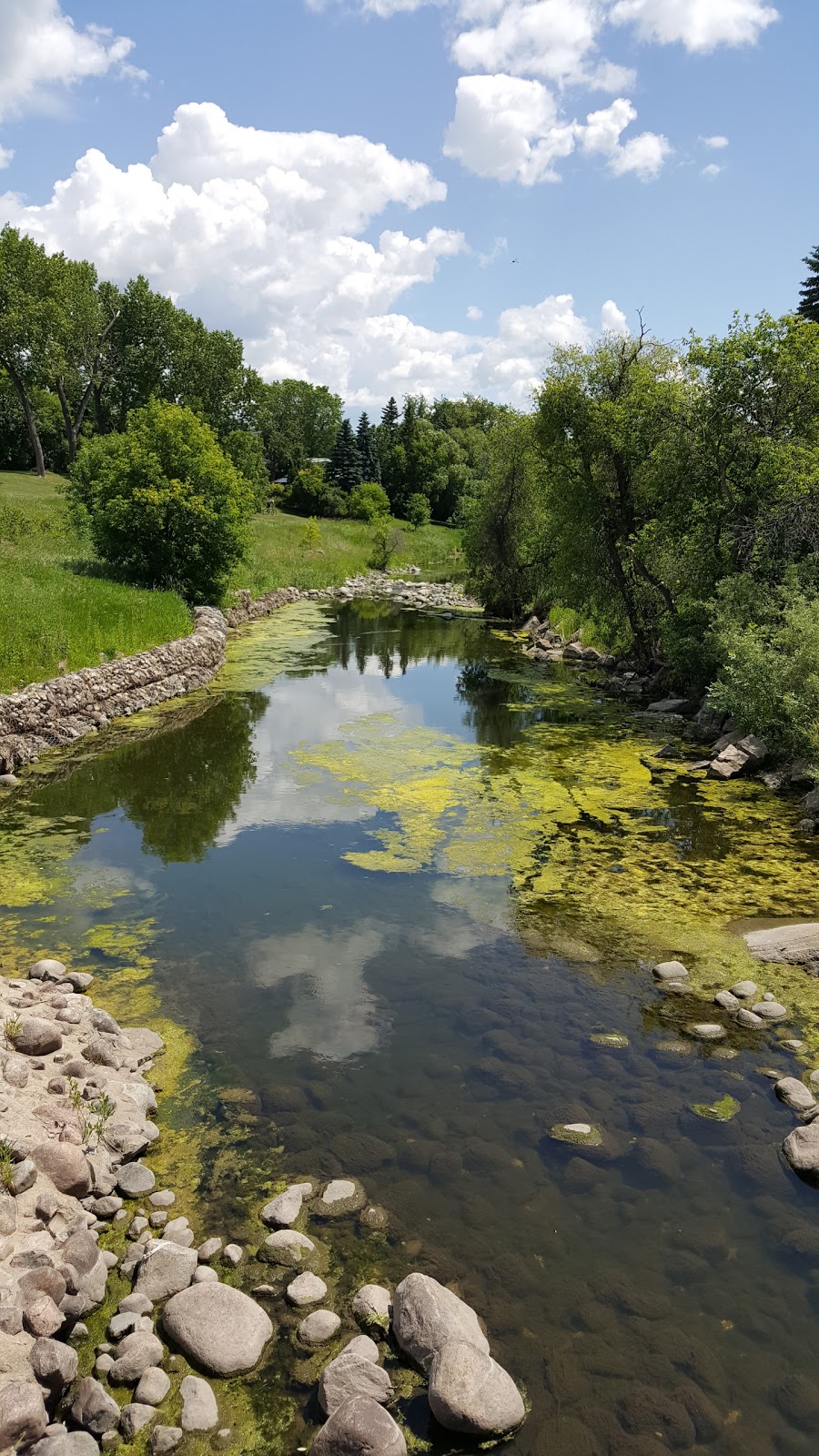 Sturgeon Creek Park Winnipeg, MB R2Y 0E7, Canada