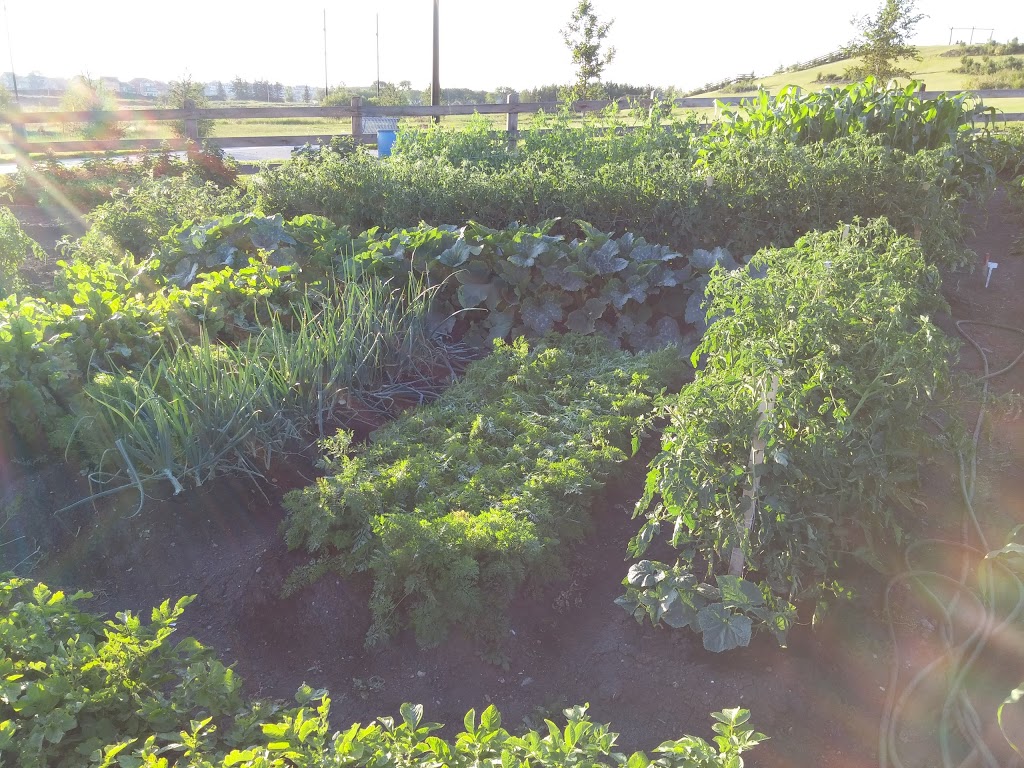 Griesbach Community Garden | Griesbach, Edmonton, AB T5E 6R1, Canada