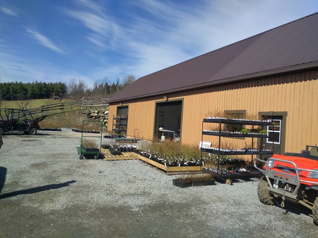 Pépinière Ancestrale | 3049 rang 3 Ouest, Saint-Julien, QC G0N 1B0, Canada | Phone: (418) 423-3070