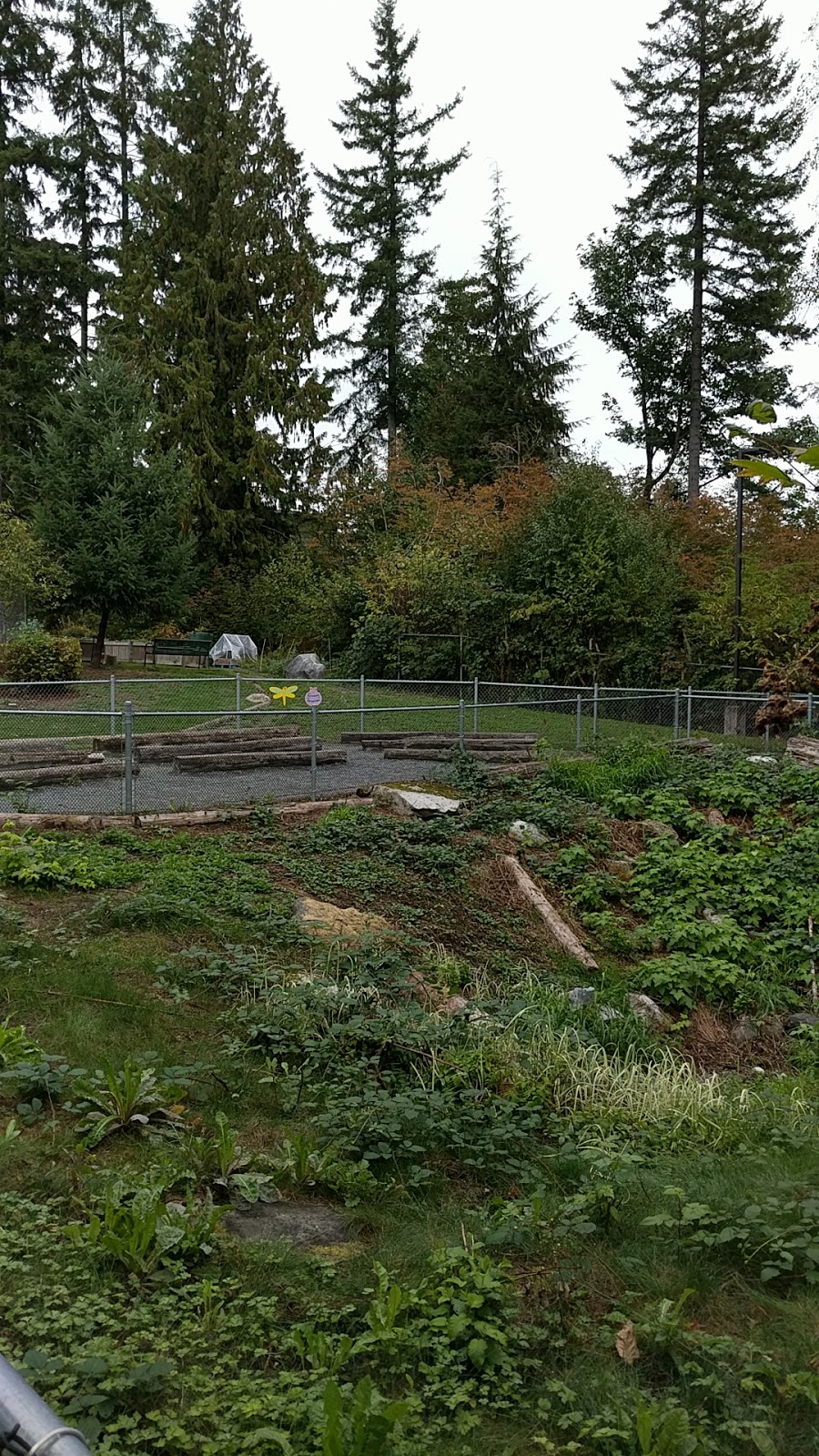 University Highlands Elementary School | 9388 Tower Rd, Burnaby, BC V5A 4X6, Canada | Phone: (604) 296-9036
