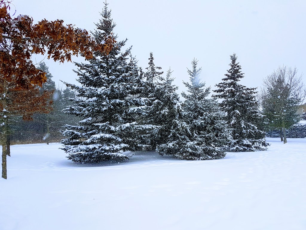 Cedar Valley Conservation Area | 1655 Canadore Crescent, Oshawa, ON L1G 8A6, Canada | Phone: (905) 436-3311