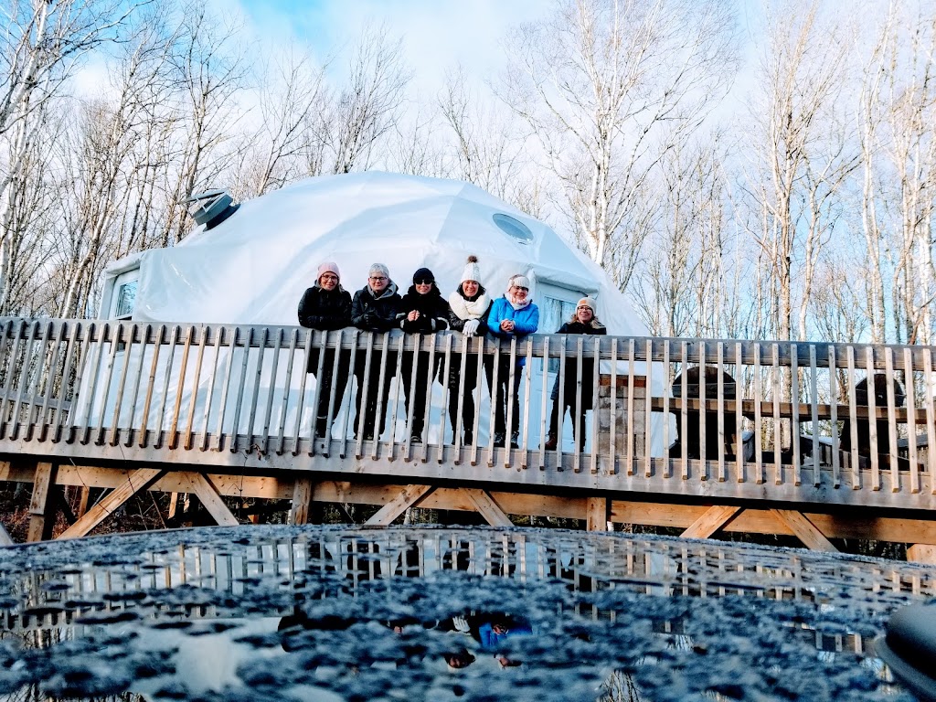 Treetop Haven | 1210 Mt Tryon Rd, Albany, PE C0B 1A0, Canada | Phone: (902) 439-0267