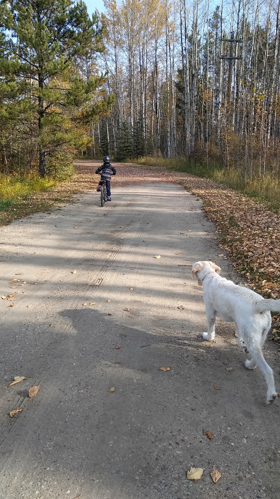Ashland Dam | Unnamed Road 0P0, Breton, AB T0C 0P0, Canada | Phone: (780) 898-9636