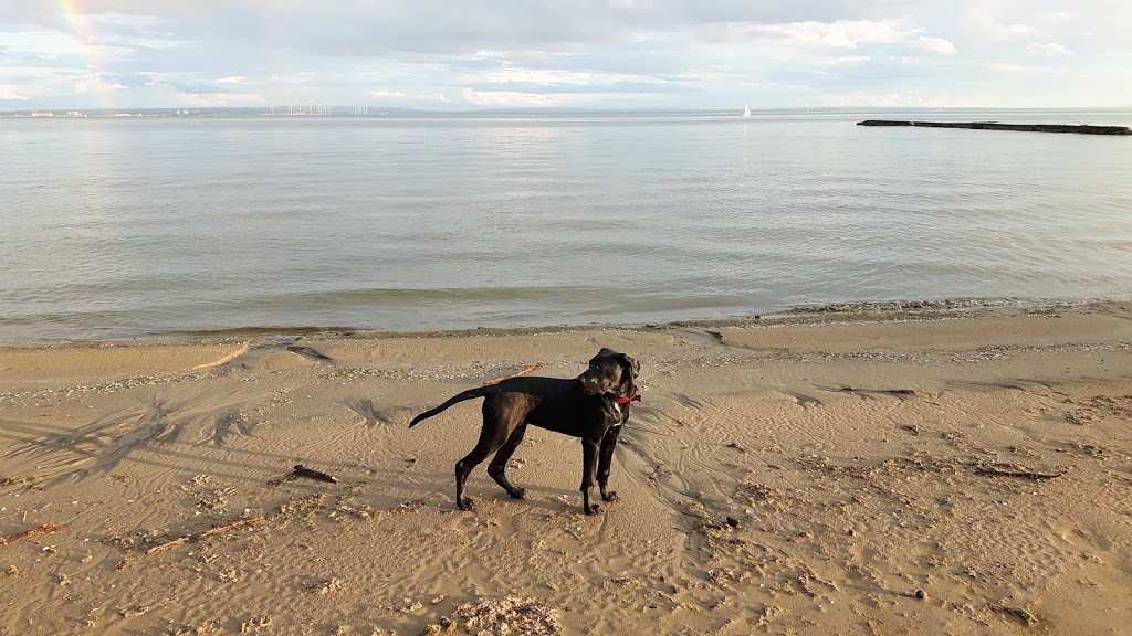Waverly Beach Park | 271 Helena St, Fort Erie, ON L2A 5Z7, Canada