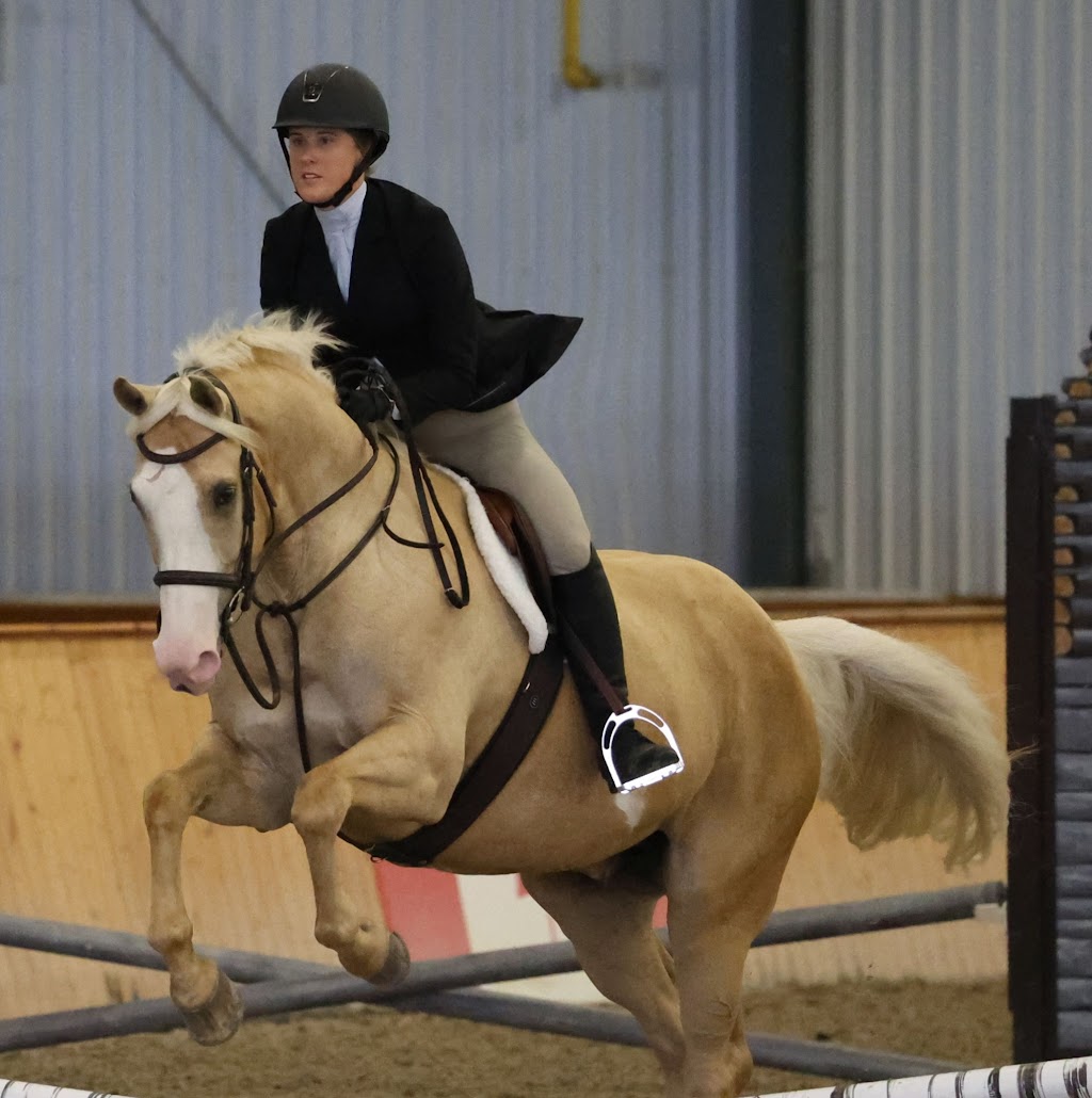 Chasing Gold Performance | 9037 Road 152, Gowanstown, ON N0G 1Y0, Canada | Phone: (548) 888-5455