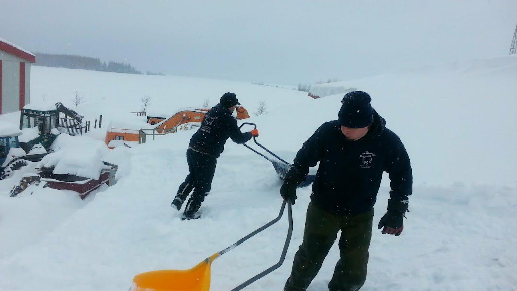 Deinegement toiture rg | 470 Bd du Saguenay O, Saguenay, QC G7J 1H4, Canada | Phone: (418) 698-2136