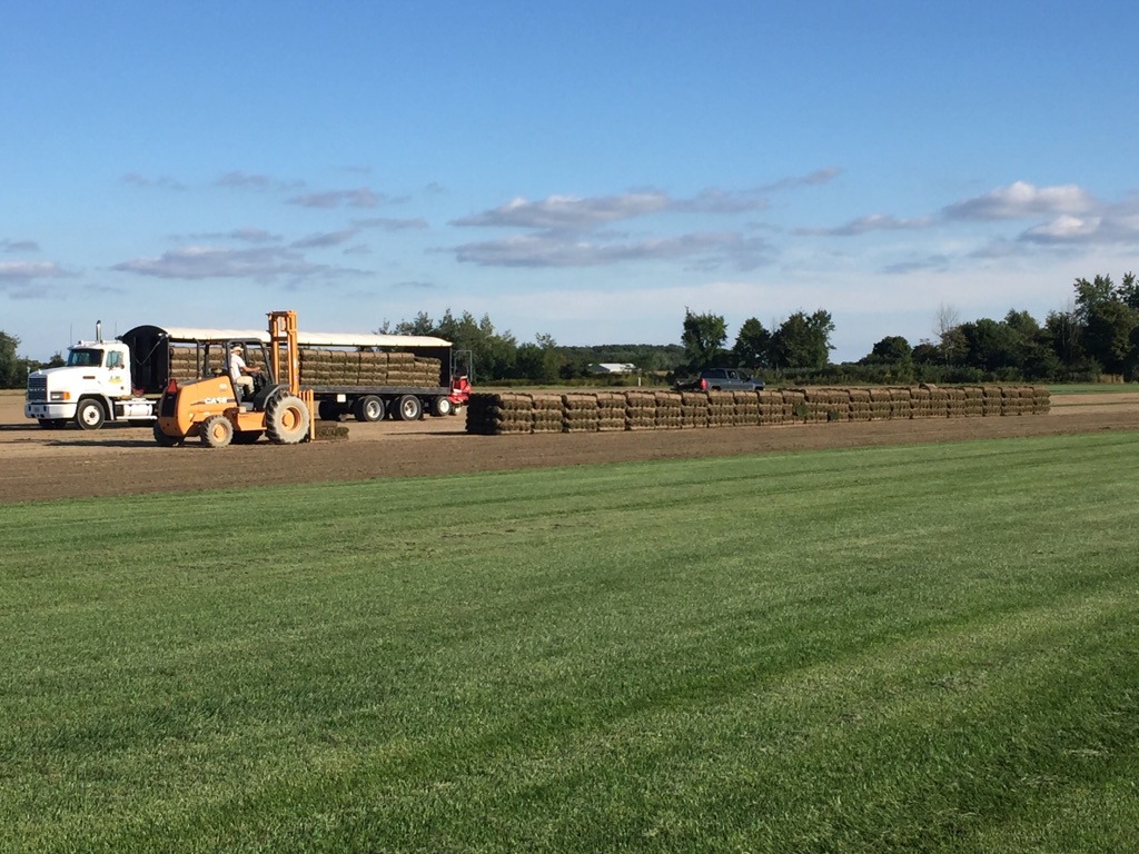 L & M Sod Farms Ltd. | 15511 Essex 8, Oldcastle, ON N0R 1L0, Canada | Phone: (519) 737-7214