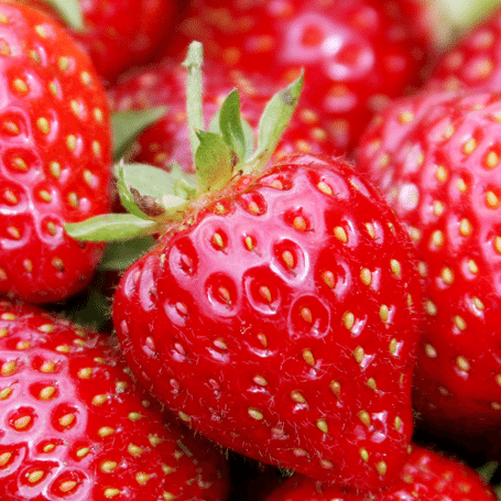 Fraisière & framboisière Karl Lauzière | 180 12e Rang N, Saint-Nazaire-dActon, QC J0H 1V0, Canada | Phone: (819) 392-2249