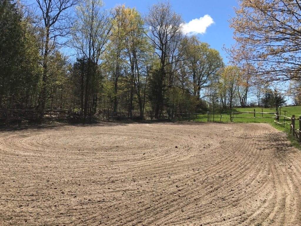 Jamesview Farm | 1823 Read Rd, Shannonville, ON K0K 3A0, Canada | Phone: (705) 957-7607