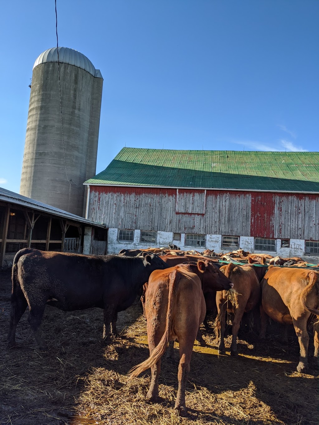 Edencrest Farms | 2904 Rainbow Valley Rd W, Minesing, ON L9X 1G5, Canada | Phone: (705) 737-2491