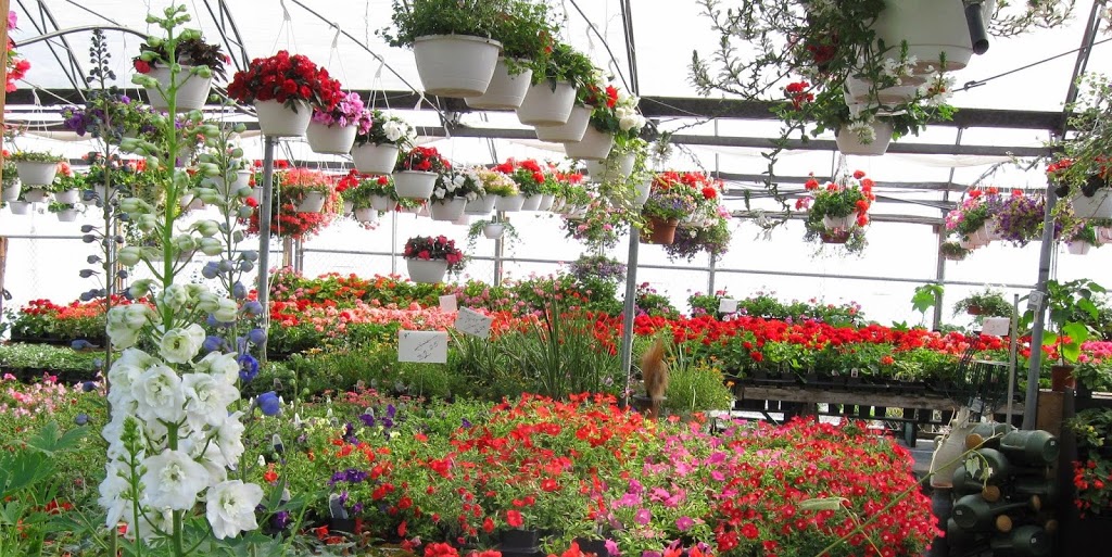 Blue Heron Landscaping | 202, ch Eardley, Gatineau, QC J9J 2Y6, Canada | Phone: (819) 684-3312
