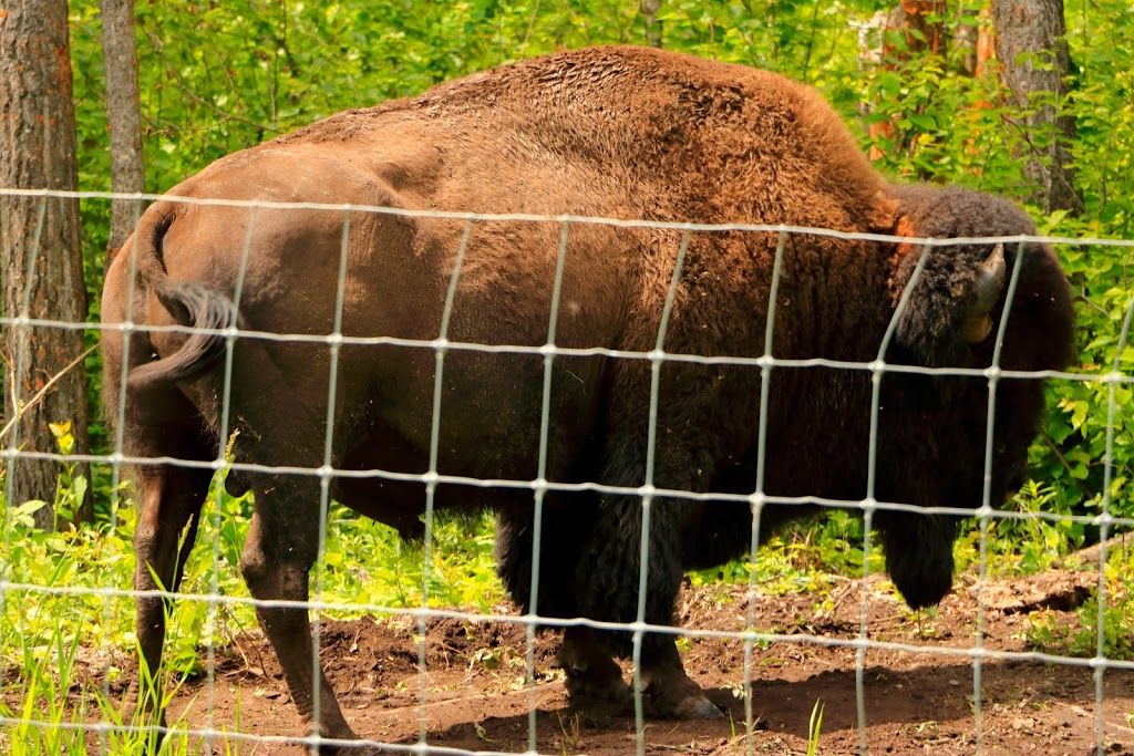 Elk Island National Park | E, 4J0, AB-16, Tofield, AB T0B 4J0, Canada