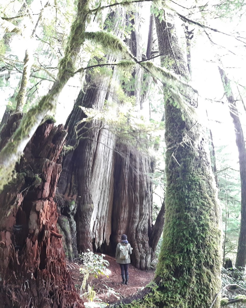 Tales on Trails Adventure Tours | Chattell Rd, Nanoose Bay, BC V9P 9A5, Canada | Phone: (514) 797-6405