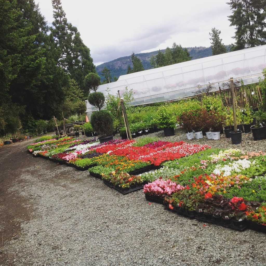 Superior Farms Inc aka Superior Growers, Superior Miniatures | 7995 Superior Rd, Lantzville, BC V0R 2H0, Canada | Phone: (250) 390-2435
