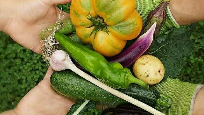 Chez Giardino | 634 Chem. du Village, Morin-Heights, QC J0R 1H0, Canada | Phone: (514) 775-7936