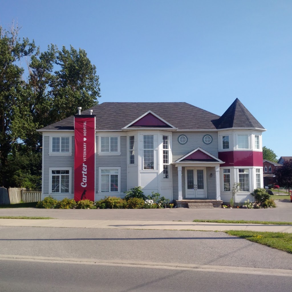 Carter Veterinary Hospital | 2323 Durham Regional Hwy 2, Bowmanville, ON L1C 3K7, Canada | Phone: (905) 419-3500