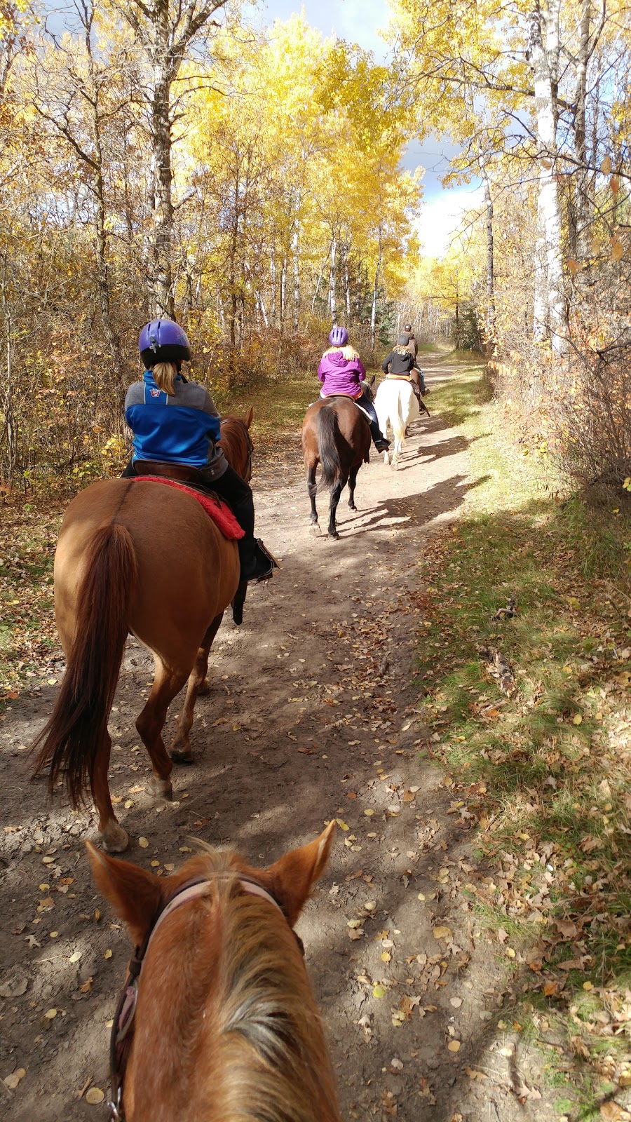 Birds Hill Park Ranch | 59 North Dr, Oakbank, MB R2G 1Y9, Canada | Phone: (204) 222-1137