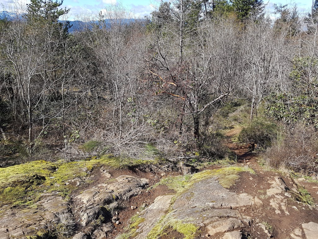 Cliffside Park | 5335 Smokey Crescent, Nanaimo, BC V9T 5R6, Canada | Phone: (250) 754-4251