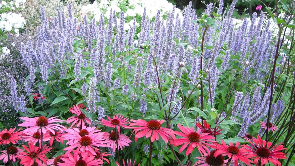Plant Paradise Country Gardens | 16258 Humber Station Rd, Caledon East, ON L7E 0Y9, Canada | Phone: (905) 880-9090